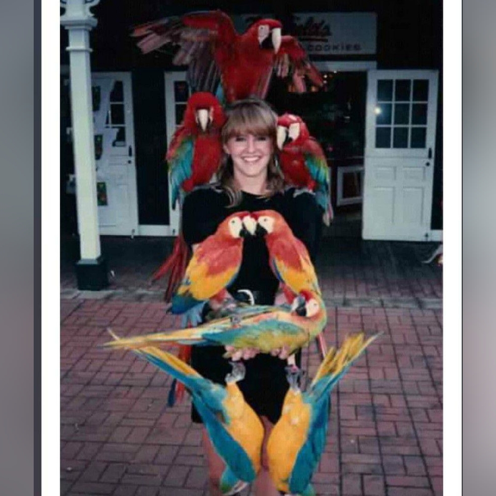 Meet your Posher, Paige